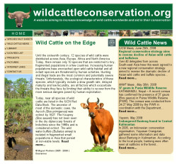 wildcattleconservation.org
